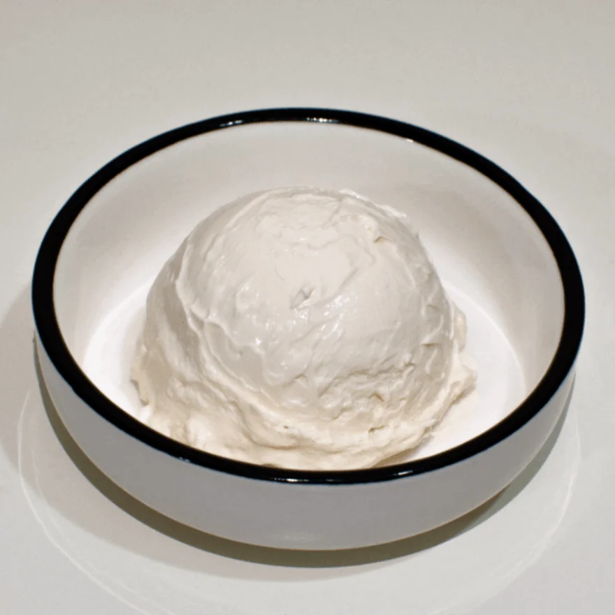 plain flavor yogurt